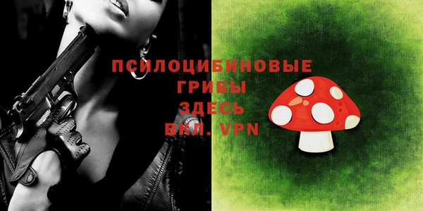 ешки Балахна