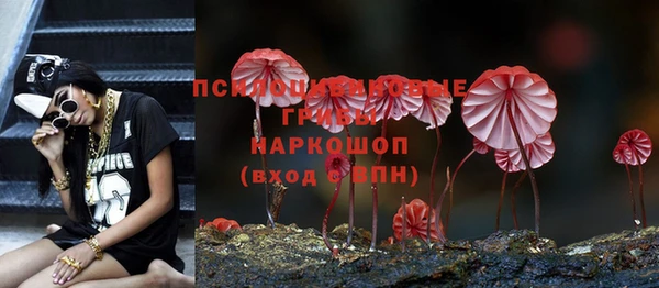 ешки Балахна