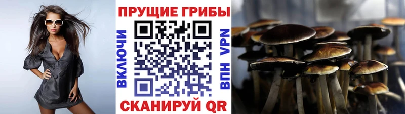 Псилоцибиновые грибы Psilocybe  Любим 